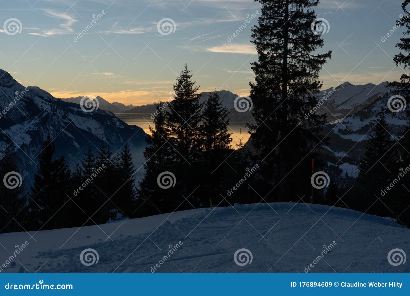 sunset over bernese alps in hasliberg meiringen, with view over sea Ã¢â¬â¹Ã¢â¬â¹of Ã¢â¬â¹Ã¢â¬â¹clouds between mountains and woods of hohfluh,
